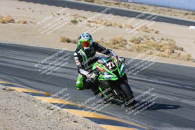 media/Jan-14-2024-SoCal Trackdays (Sun) [[2e55ec21a6]]/Turn 12 Inside (945am)/